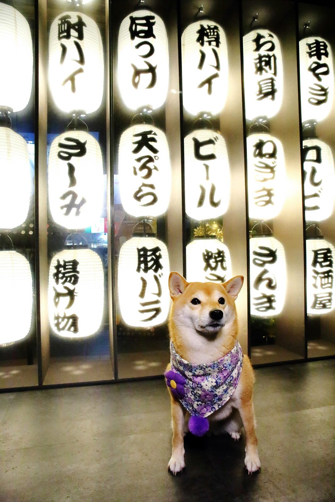 老串角居酒屋新莊店，新莊宵夜、串燒必吃推薦，Google評論