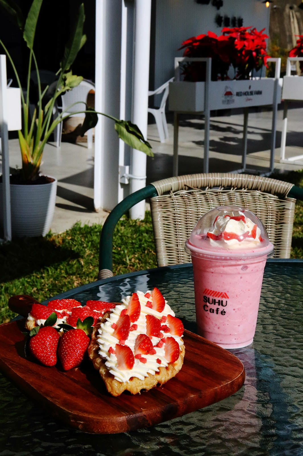 採草莓囉!苗栗大湖特色農場推薦,紅色琉璃瓦&SUHU Caf 採草莓囉!苗栗大湖特色農場推薦,紅色琉璃瓦&SUHU Caf