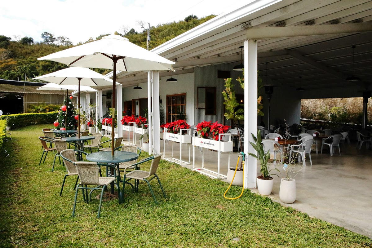 採草莓囉!苗栗大湖特色農場推薦,紅色琉璃瓦&SUHU Caf 採草莓囉!苗栗大湖特色農場推薦,紅色琉璃瓦&SUHU Caf