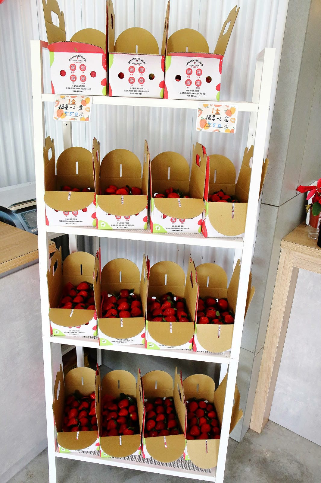 採草莓囉!苗栗大湖特色農場推薦,紅色琉璃瓦&SUHU Caf 採草莓囉!苗栗大湖特色農場推薦,紅色琉璃瓦&SUHU Caf