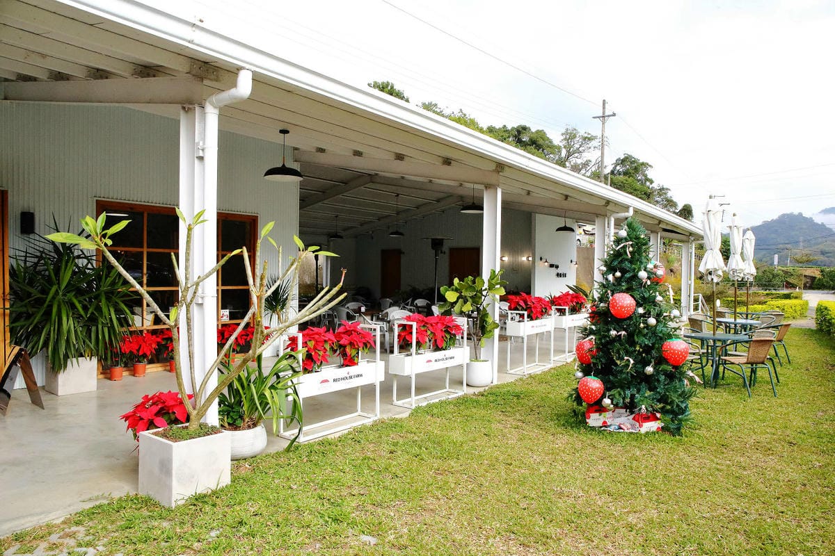 採草莓囉!苗栗大湖特色農場推薦,紅色琉璃瓦&SUHU Caf 採草莓囉!苗栗大湖特色農場推薦,紅色琉璃瓦&SUHU Caf
