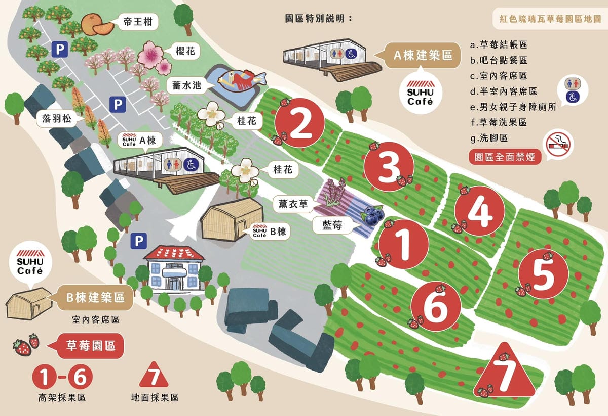 採草莓囉!苗栗大湖特色農場推薦,紅色琉璃瓦&SUHU Caf 採草莓囉!苗栗大湖特色農場推薦,紅色琉璃瓦&SUHU Caf
