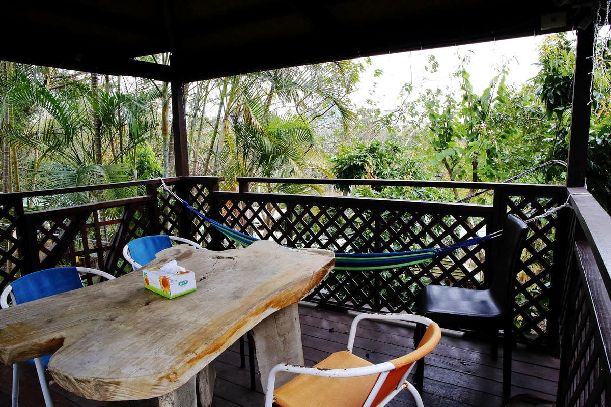 新竹寵物友善餐廳，森園寵物友善樹屋咖啡莊園，咖啡好喝，寵物超