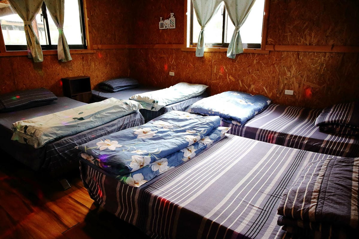 新竹寵物友善餐廳，森園寵物友善樹屋咖啡莊園，咖啡好喝，寵物超