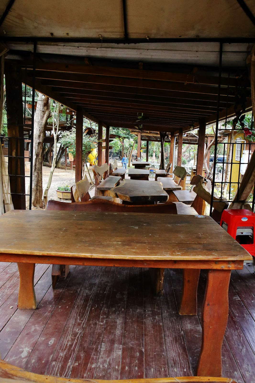 新竹寵物友善餐廳，森園寵物友善樹屋咖啡莊園，咖啡好喝，寵物超