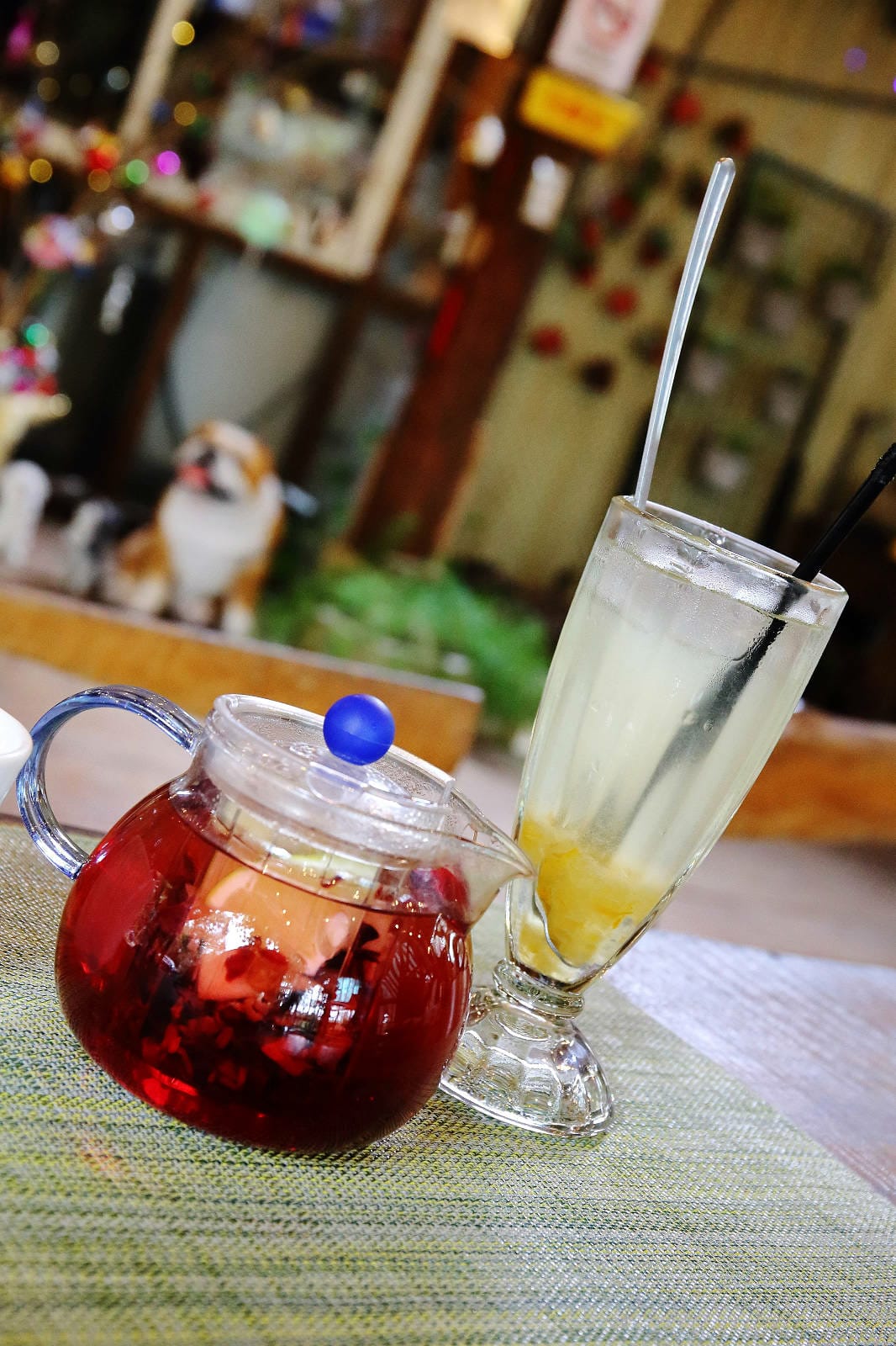 新竹寵物友善餐廳，森園寵物友善樹屋咖啡莊園，咖啡好喝，寵物超