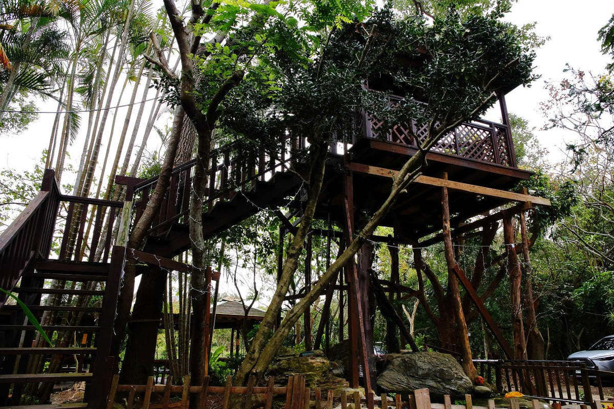 新竹寵物友善餐廳，森園寵物友善樹屋咖啡莊園，咖啡好喝，寵物超