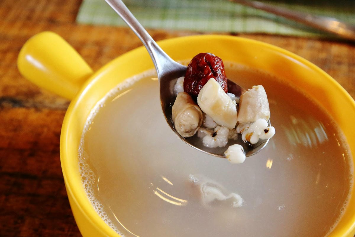 新竹寵物友善餐廳，森園寵物友善樹屋咖啡莊園，咖啡好喝，寵物超