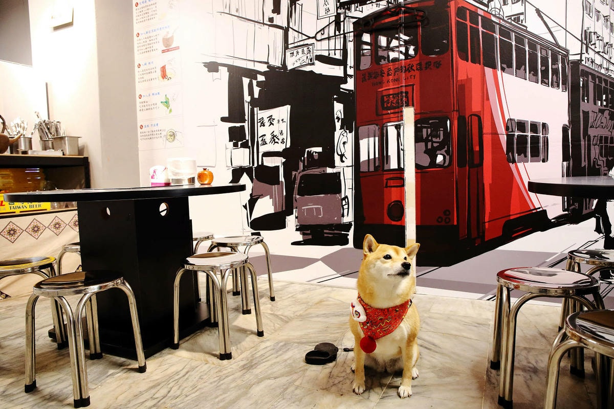 饒河夜市美食推薦,蘇記嘀兜雞台北松山店,獨門祕製超濃郁大骨湯