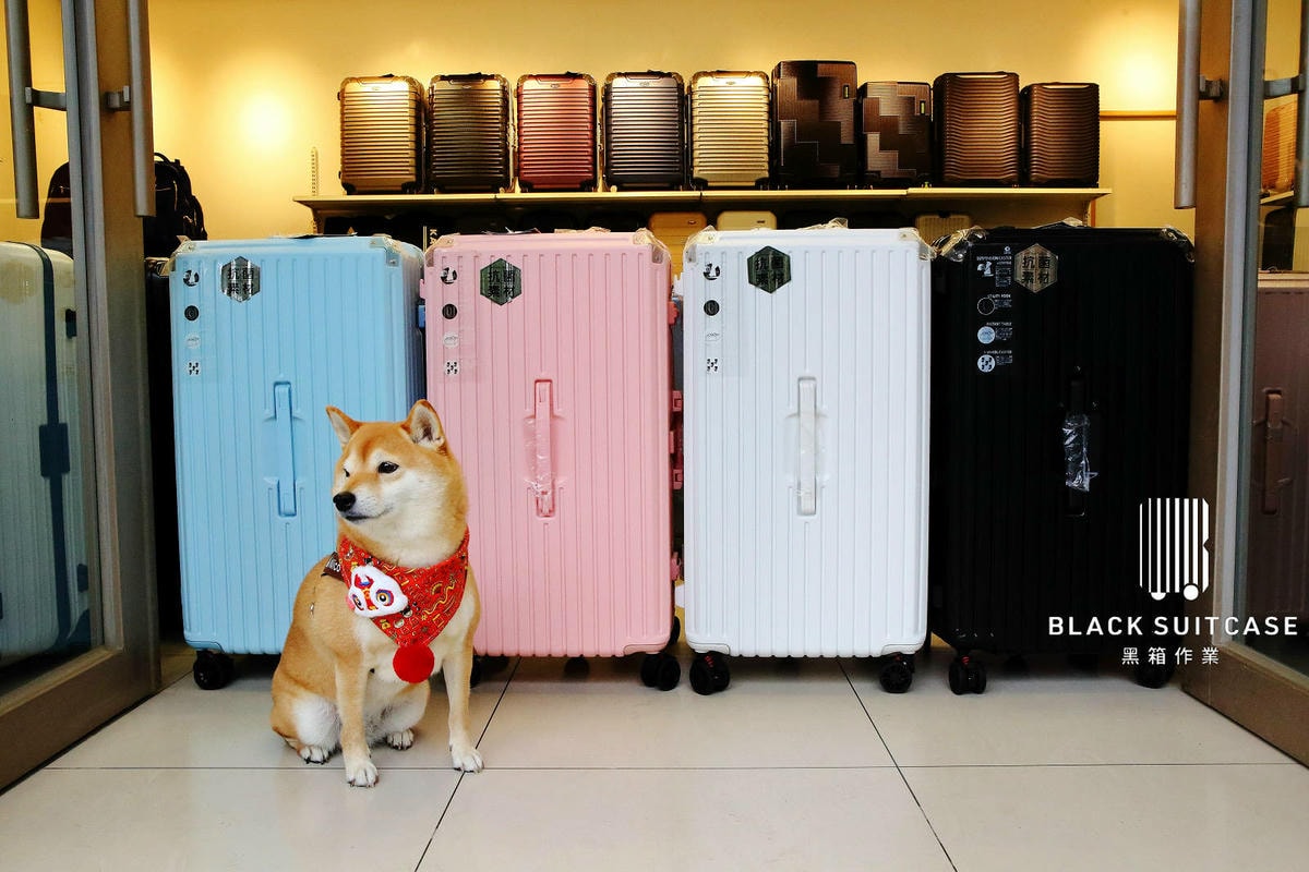 桃園行李箱推薦!黑箱作業行李箱維修/零售專賣店,28吋鋁框大