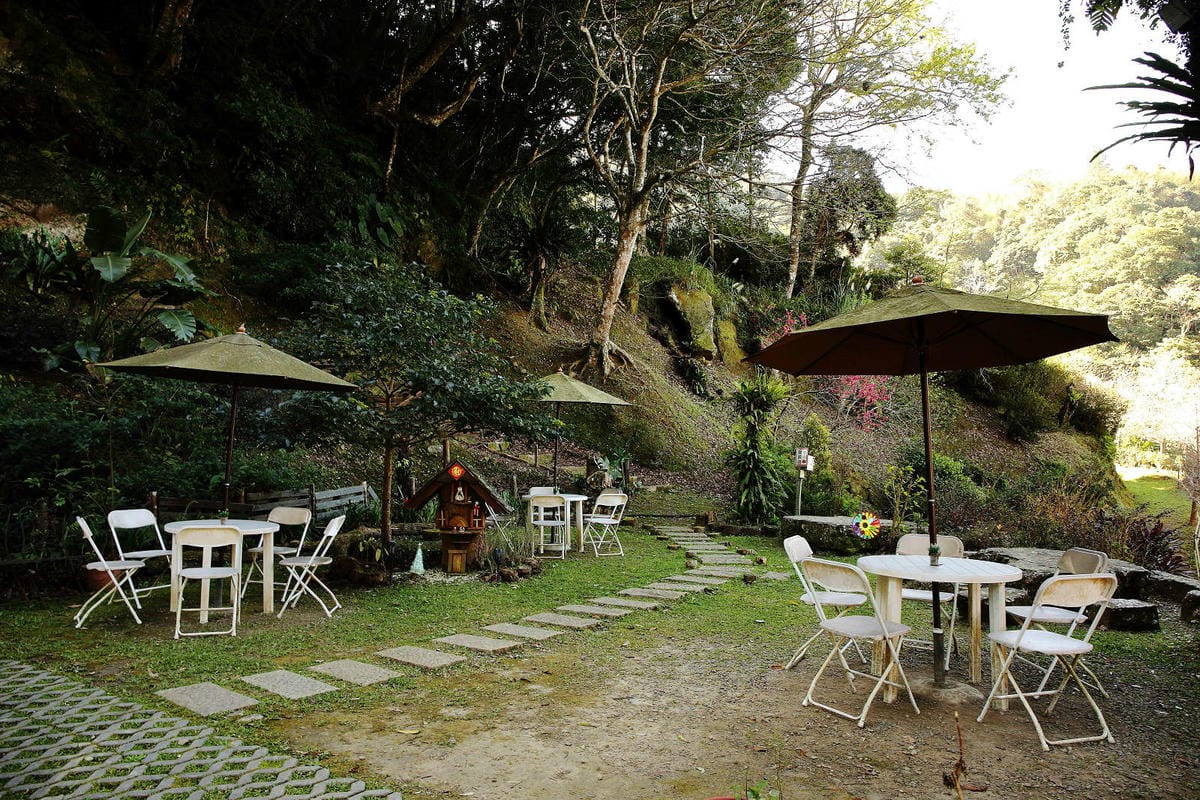 悠然秘境小屋。桃園賞櫻新秘境，2000株櫻花海「櫻花炸開」美