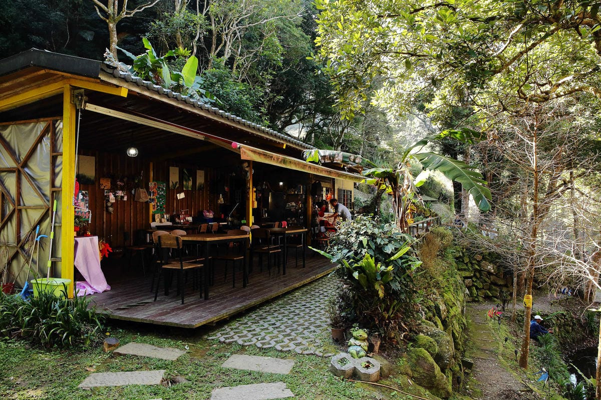 悠然秘境小屋。桃園賞櫻新秘境，2000株櫻花海「櫻花炸開」美