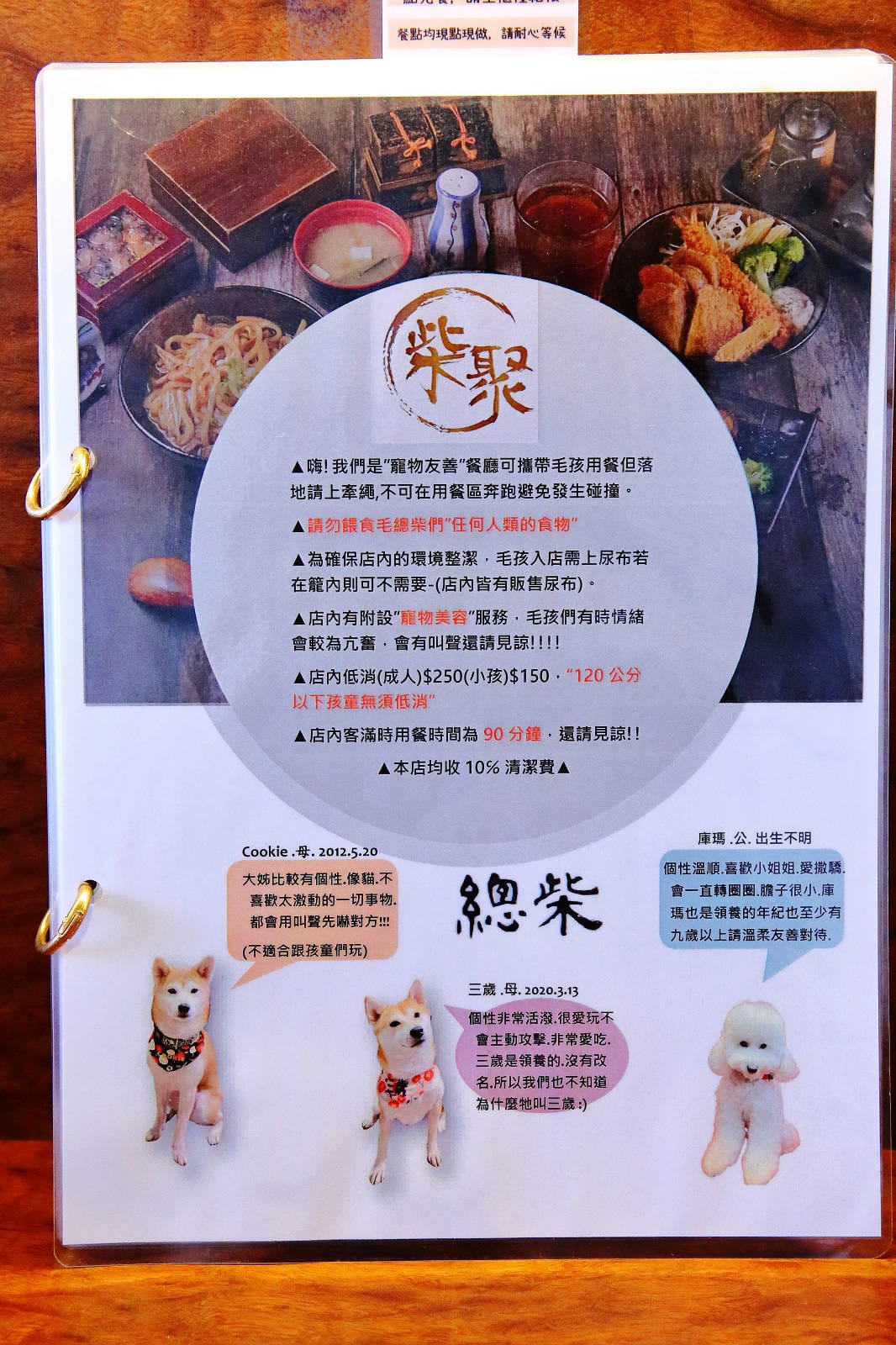 柴聚小吃。中壢寵物友善餐廳，最萌柴柴陪吃陪玩，狗派的朋友們注