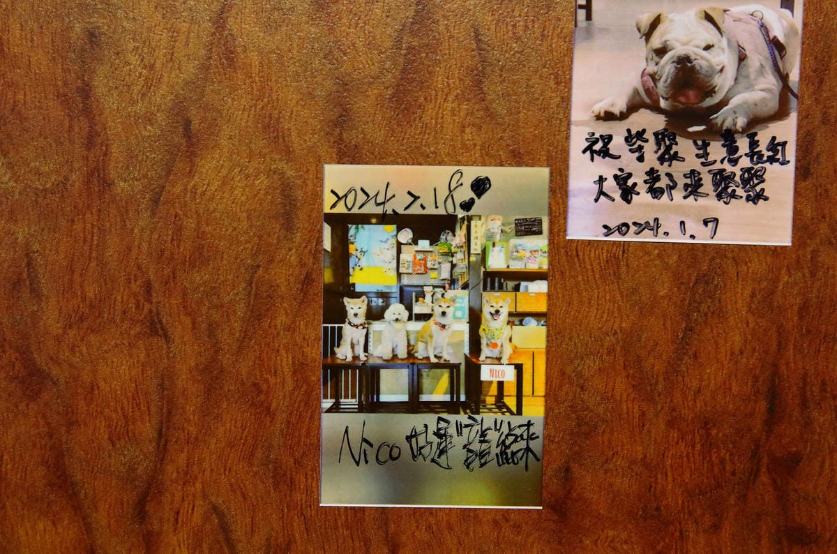 柴聚小吃。中壢寵物友善餐廳，最萌柴柴陪吃陪玩，狗派的朋友們注