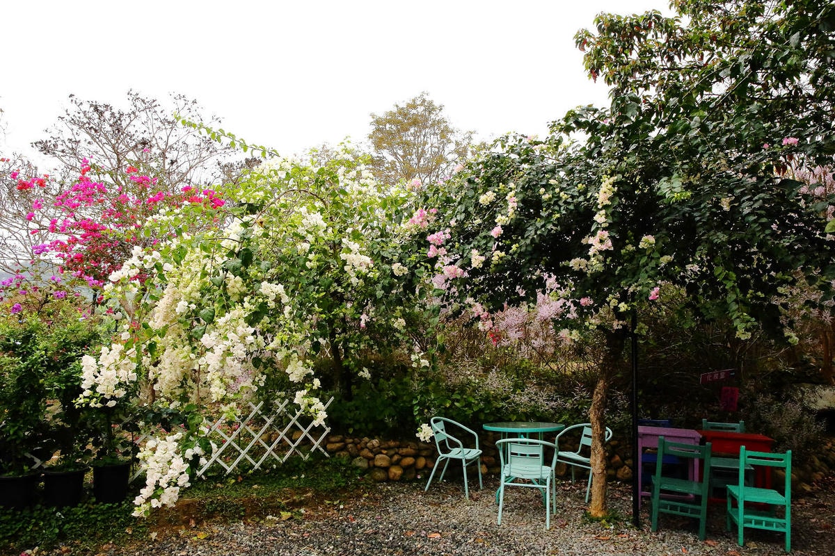 瑰蜜甜心玫瑰園,2024南投中寮熱門打卡景點,3000坪粉紅