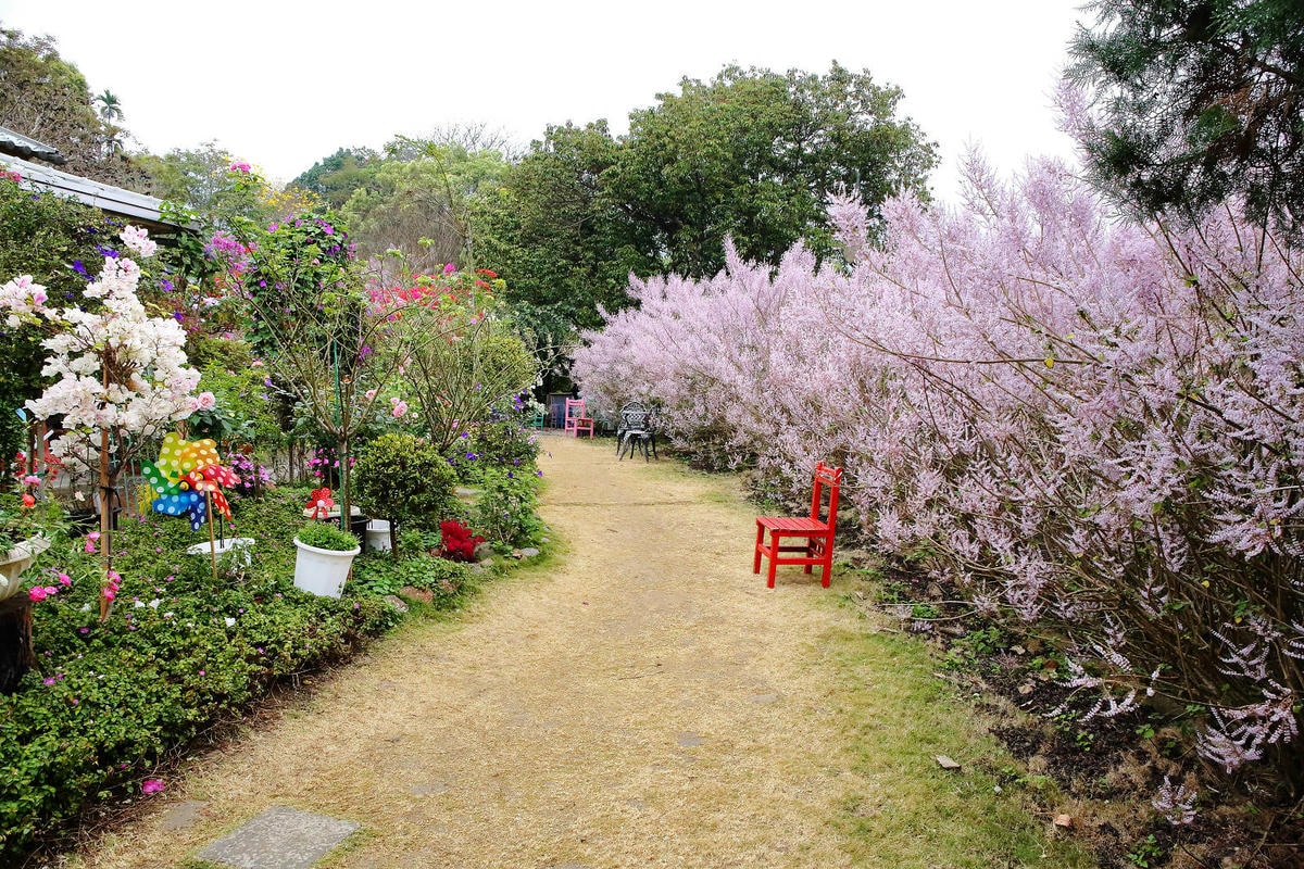 瑰蜜甜心玫瑰園,2024南投中寮熱門打卡景點,3000坪粉紅