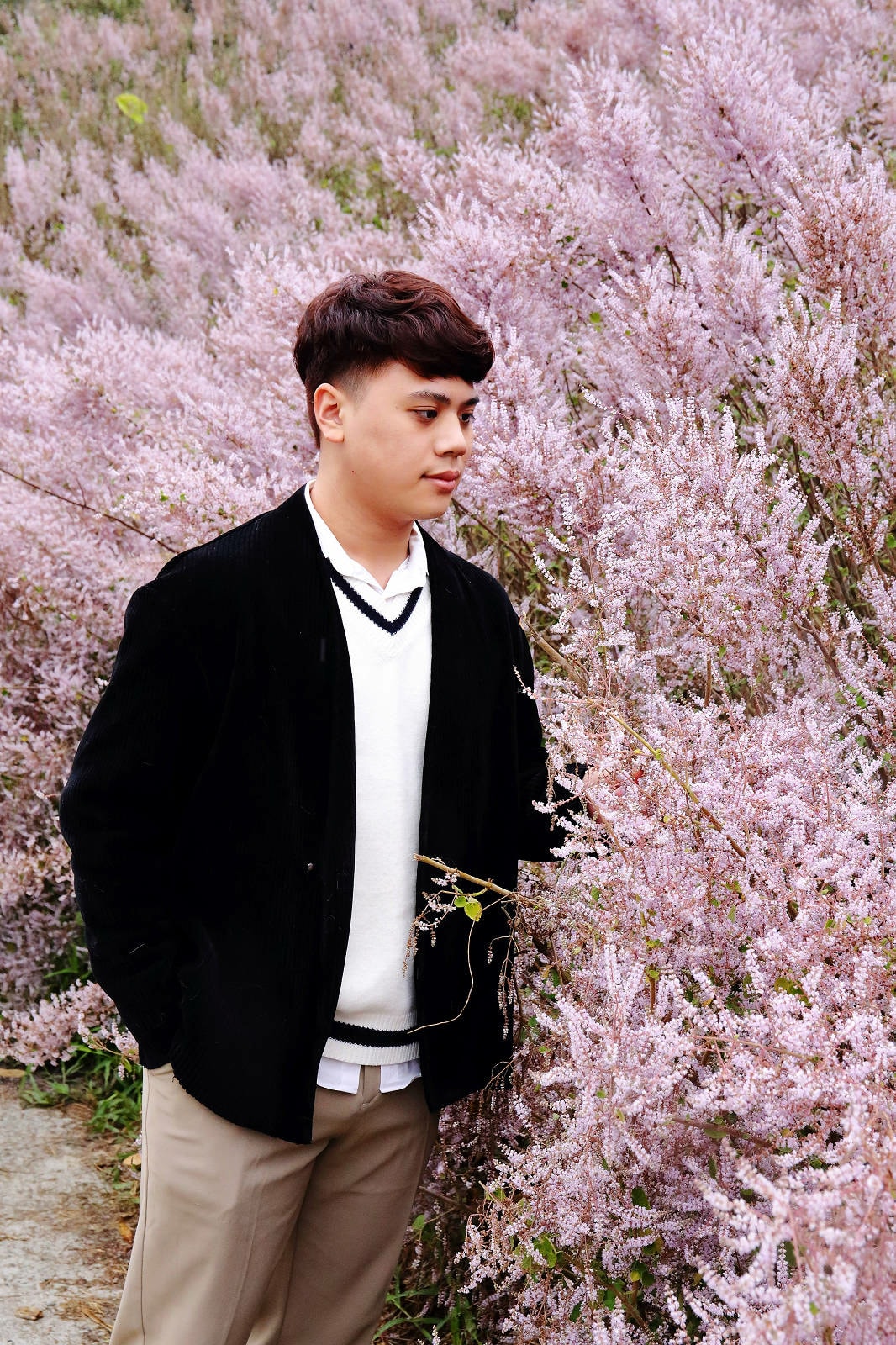 瑰蜜甜心玫瑰園,2024南投中寮熱門打卡景點,3000坪粉紅