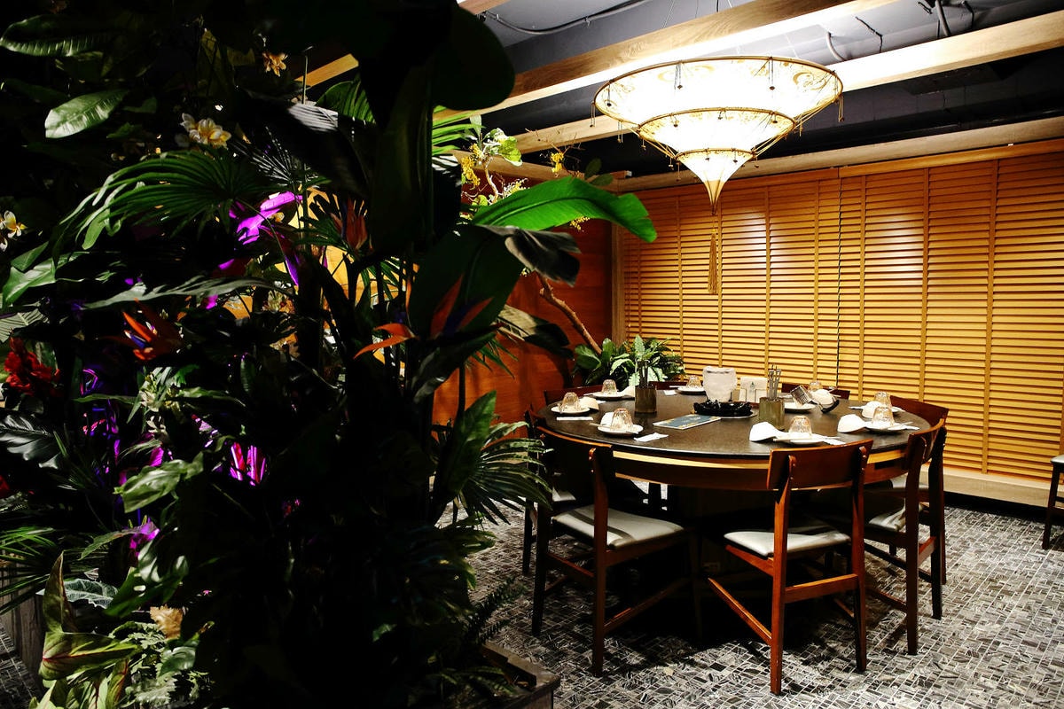 新開幕!泰滾泰式火鍋桃園店,偽出國!熱帶叢林島嶼度假風,霸氣