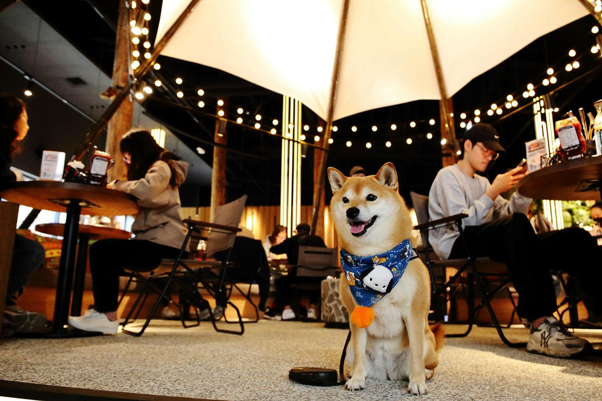 貳樓林口露營概念店新開幕!城市偽露營!在城市中也能享受享受