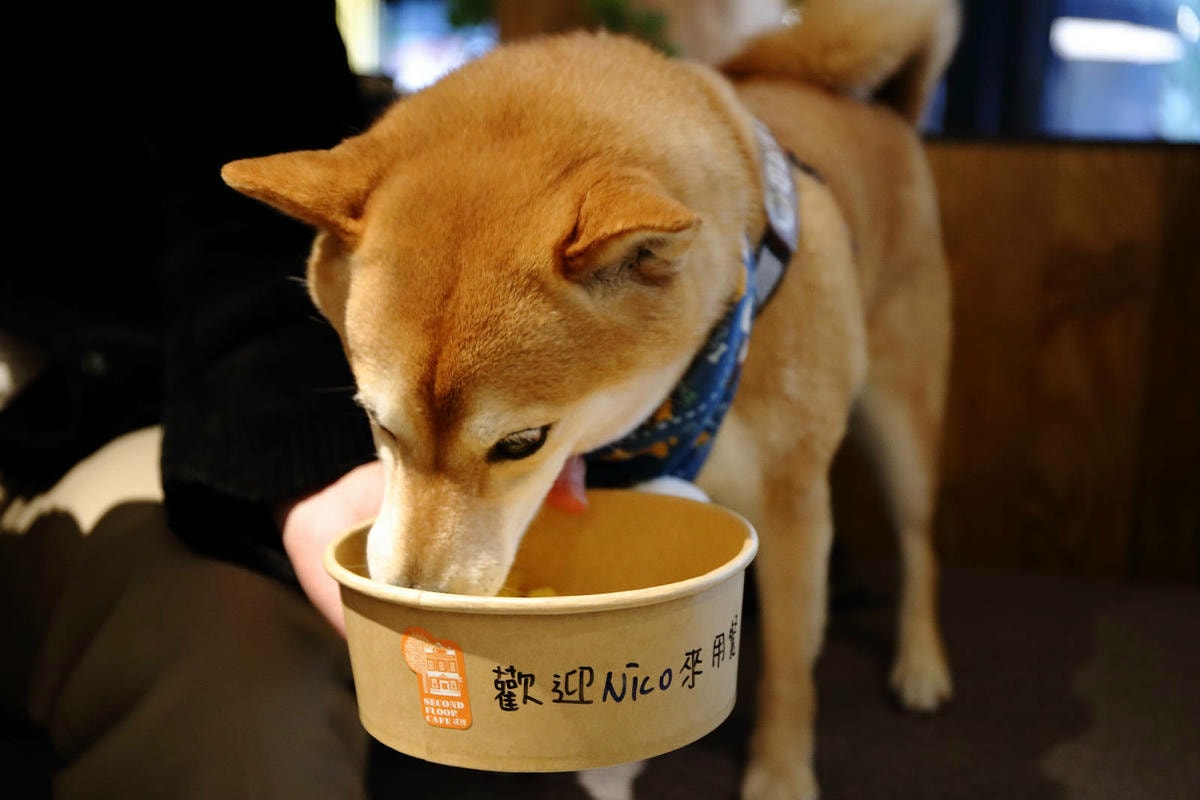 貳樓林口露營概念店新開幕!城市偽露營!在城市中也能享受享受