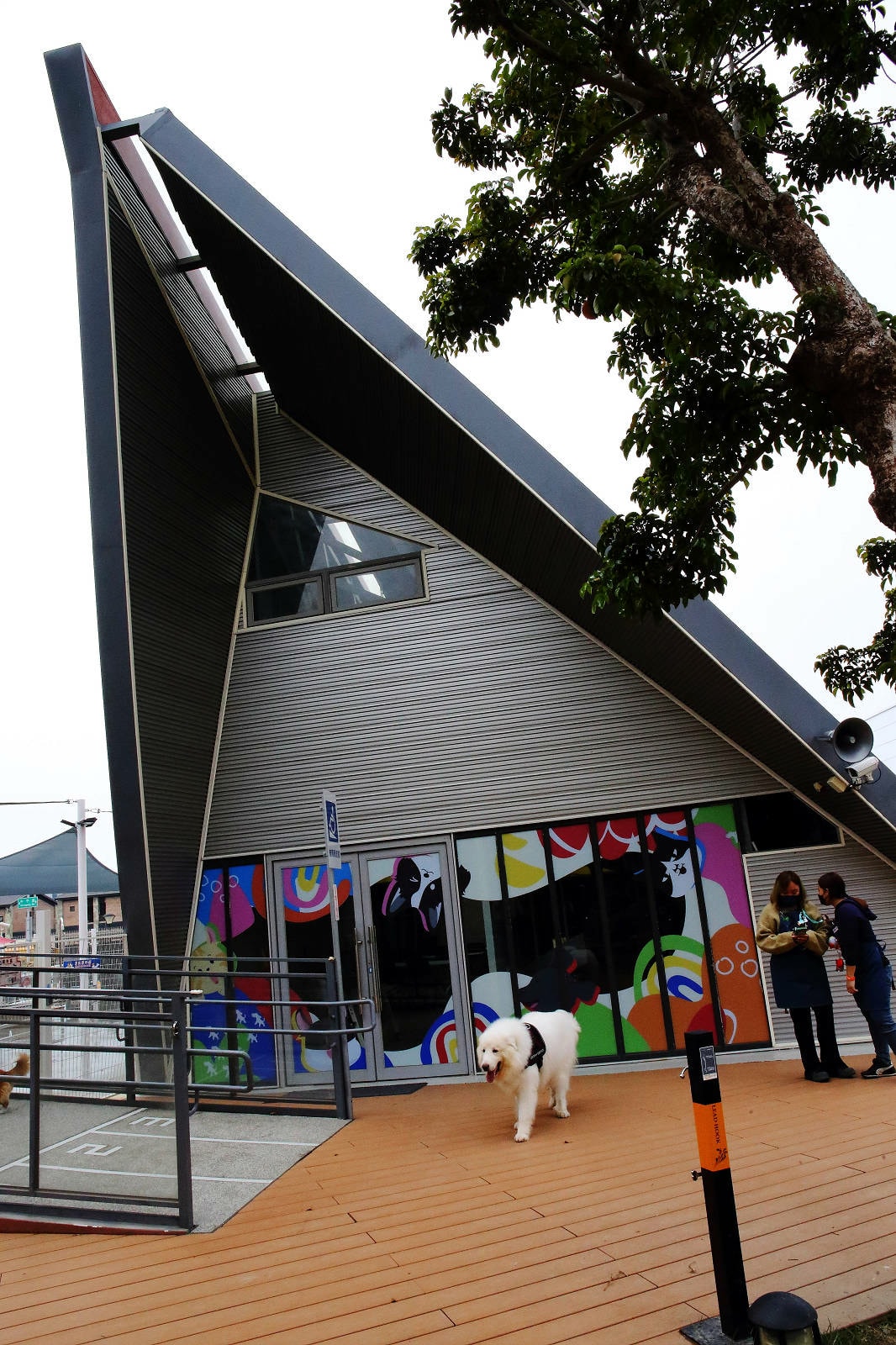 台中全新寵物餐廳開幕!瘋狂尾巴寵物遊樂園,結合了寵物餐廳、寵