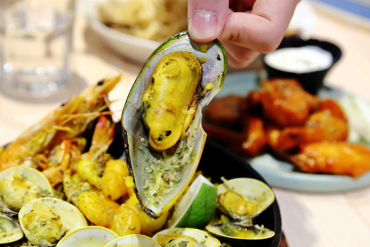 台中全新寵物餐廳開幕!瘋狂尾巴寵物遊樂園,結合了寵物餐廳、寵