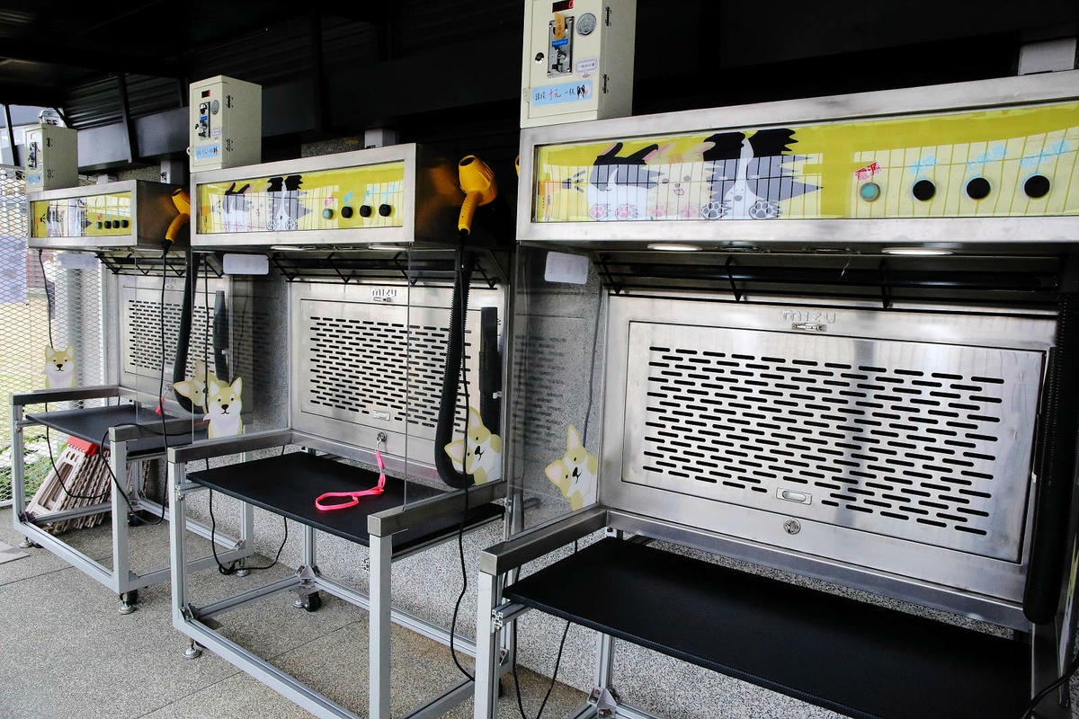 台中全新寵物餐廳開幕!瘋狂尾巴寵物遊樂園,結合了寵物餐廳、寵