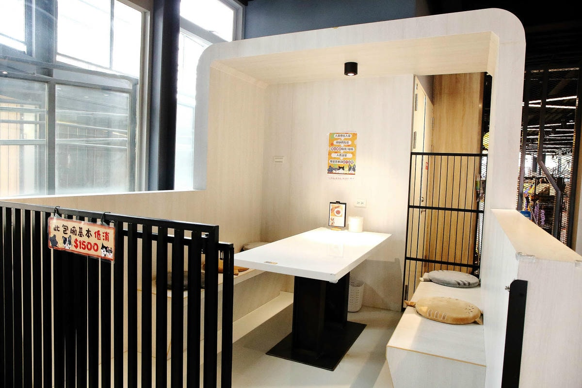 台中全新寵物餐廳開幕!瘋狂尾巴寵物遊樂園,結合了寵物餐廳、寵