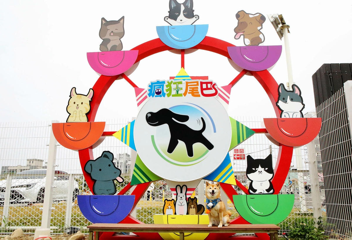 台中全新寵物餐廳開幕!瘋狂尾巴寵物遊樂園,結合了寵物餐廳、寵