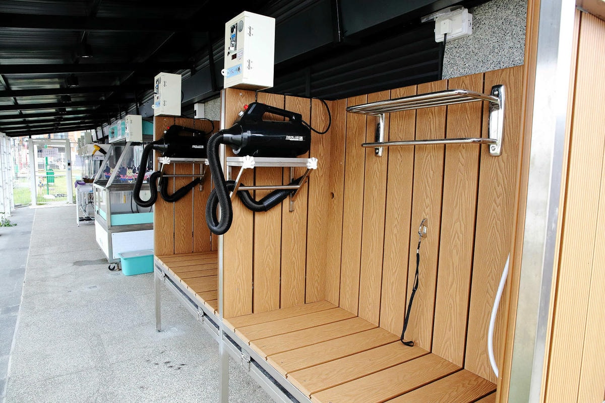 台中全新寵物餐廳開幕!瘋狂尾巴寵物遊樂園,結合了寵物餐廳、寵