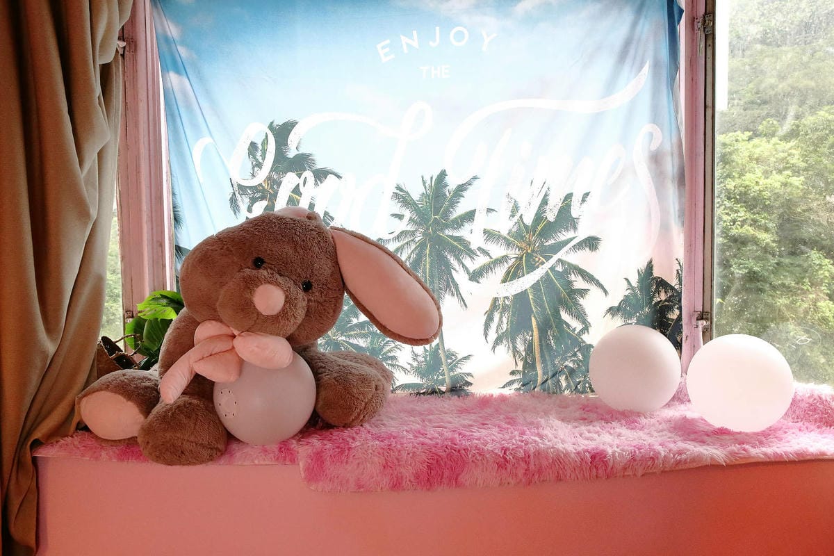 石碇秘境，武林逸亭網美景觀餐廳，寵物友善餐廳、夢幻的網美佈置