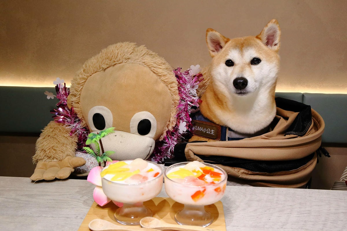 捷運中山美食推薦!一個人也能吃泰式!椰兄 PLUS台北必吃網