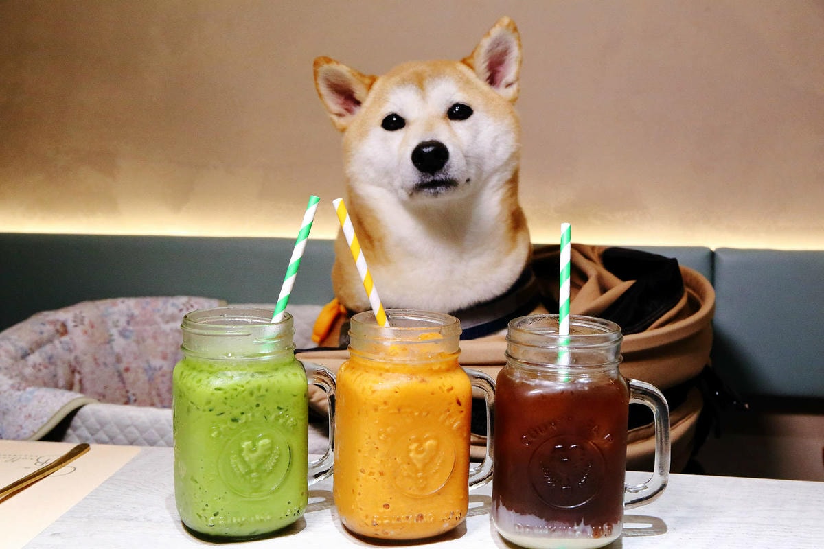 捷運中山美食推薦!一個人也能吃泰式!椰兄 PLUS台北必吃網