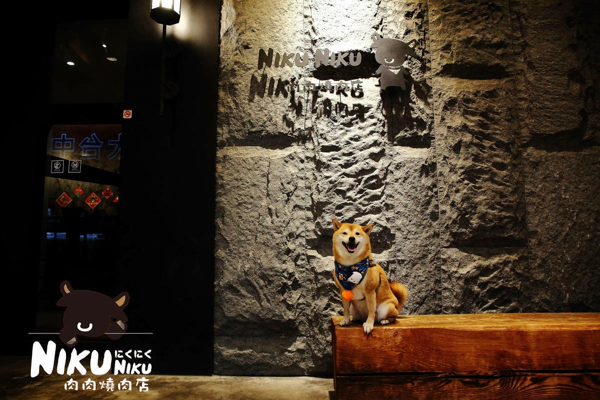 2024台中狗狗必打卡的燒肉,肉肉燒肉-燒肉界寵物友善餐廳,
