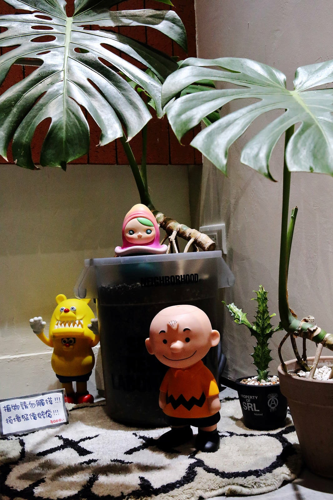 中永和早午餐新選擇,皇后熱壓吐司專賣店,土城必吃的人氣早午餐