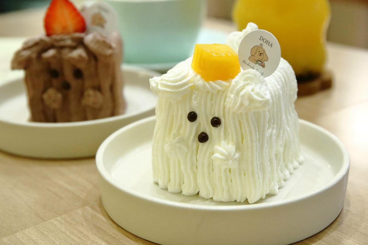 三峽北大寵物友善咖啡廳，Doha人寵甜點咖啡廳，IG爆紅創意