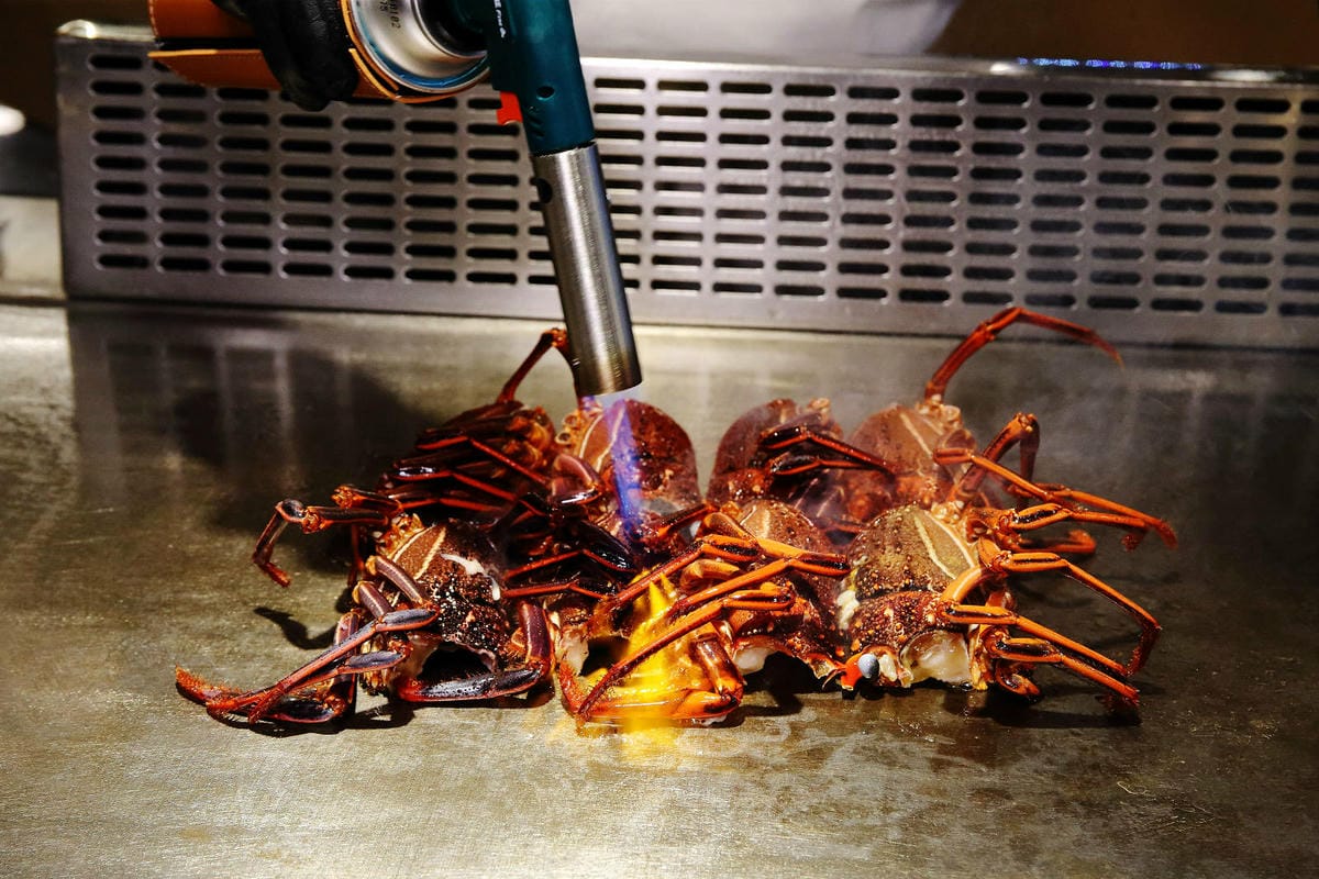 明水然．樂。網路溫度計<此生必嚐十大高CP值無菜單鐵板燒>冠