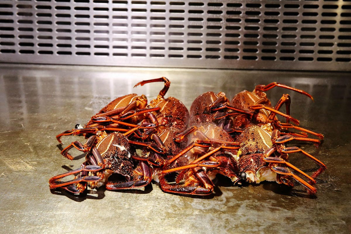 明水然．樂。網路溫度計<此生必嚐十大高CP值無菜單鐵板燒>冠