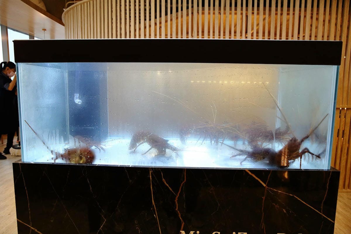 明水然．樂。網路溫度計<此生必嚐十大高CP值無菜單鐵板燒>冠