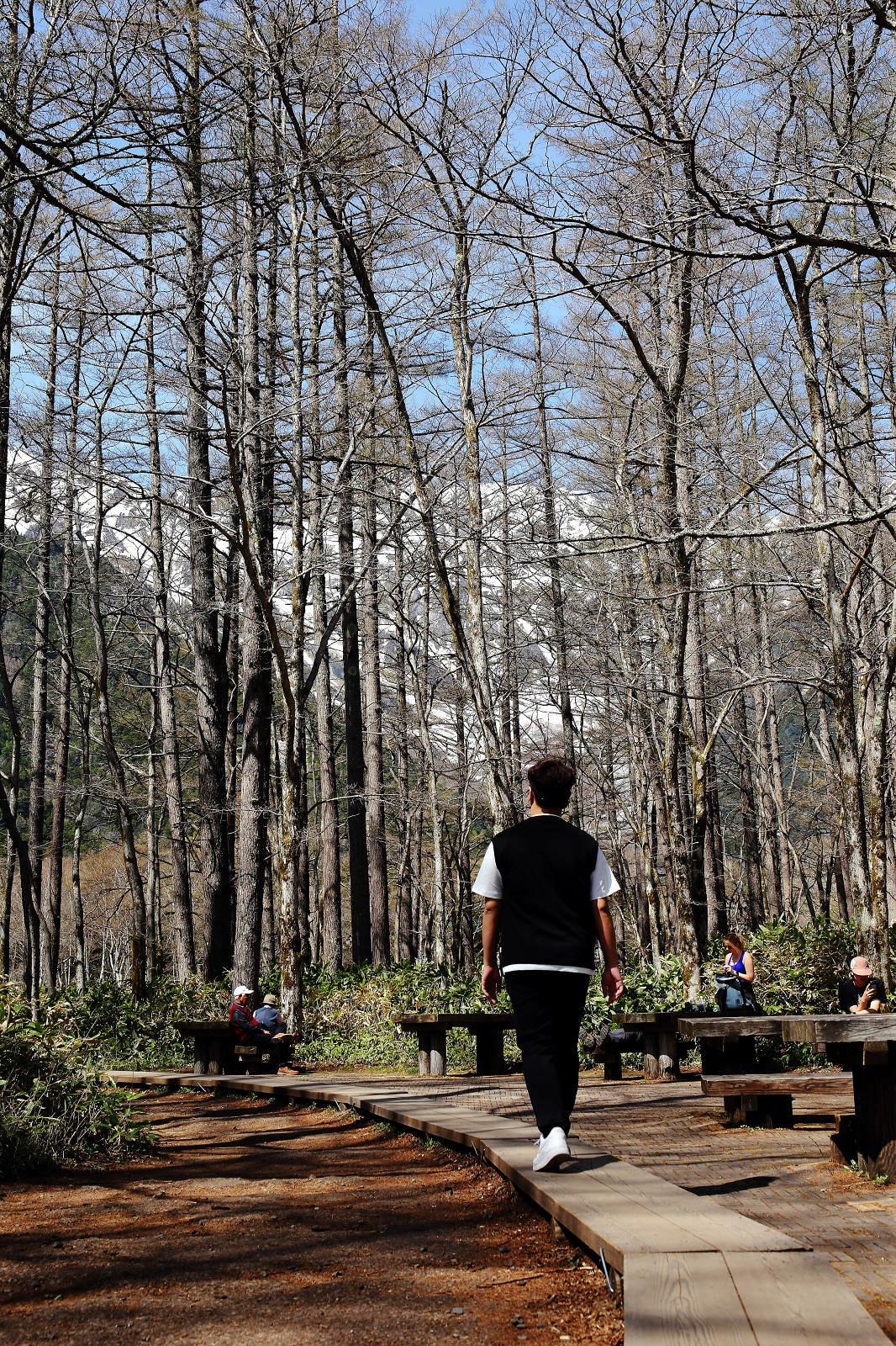 神的故鄉「上高地」,境內有大正池、田代池、河童橋、明神池等,