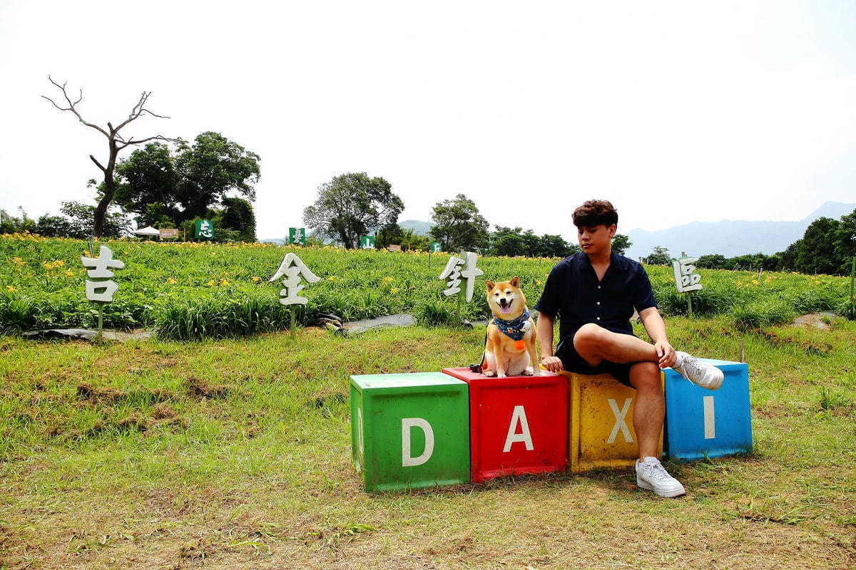 【2024金針花季】桃園大溪金針花新秘境大公開!百吉休閒農場