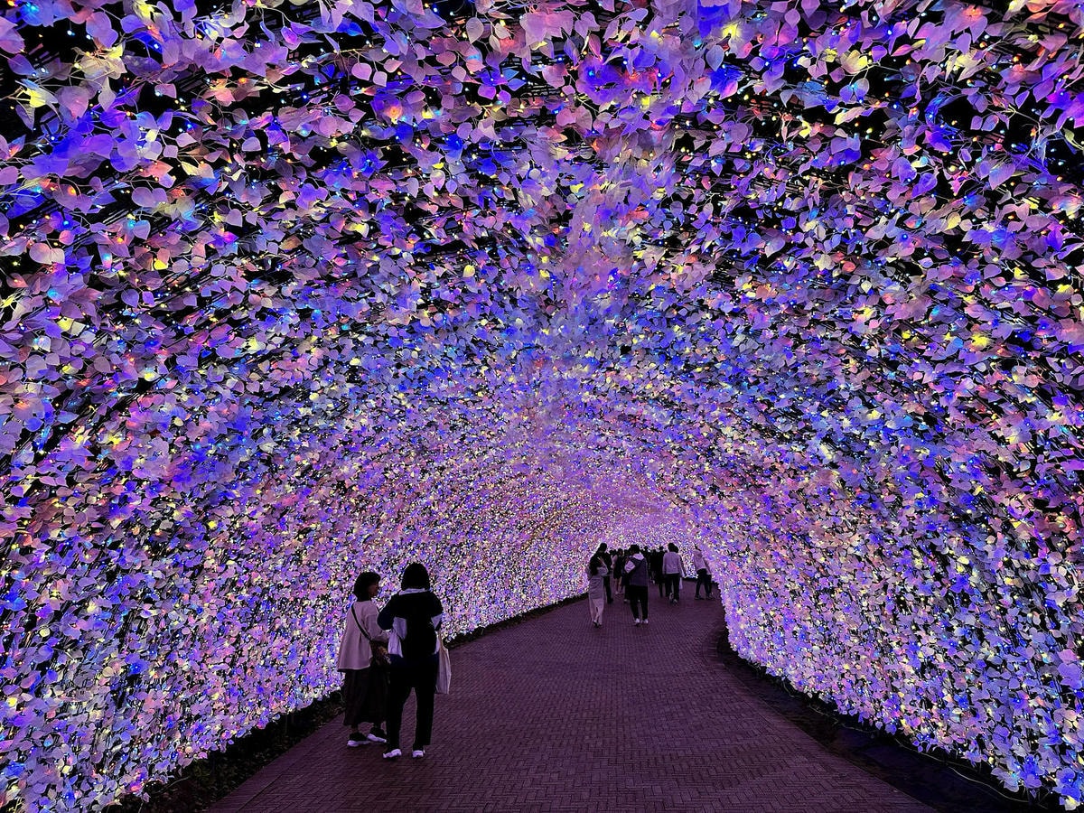 世界級美景,日本最大絢麗夢幻夜間燈光秀,結合花朵與燈飾的「名