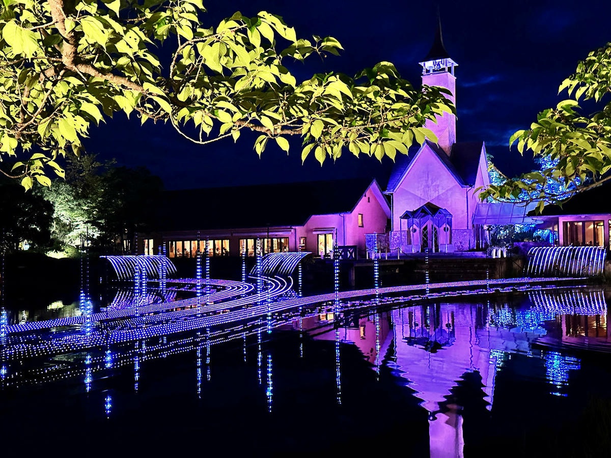 世界級美景,日本最大絢麗夢幻夜間燈光秀,結合花朵與燈飾的「名