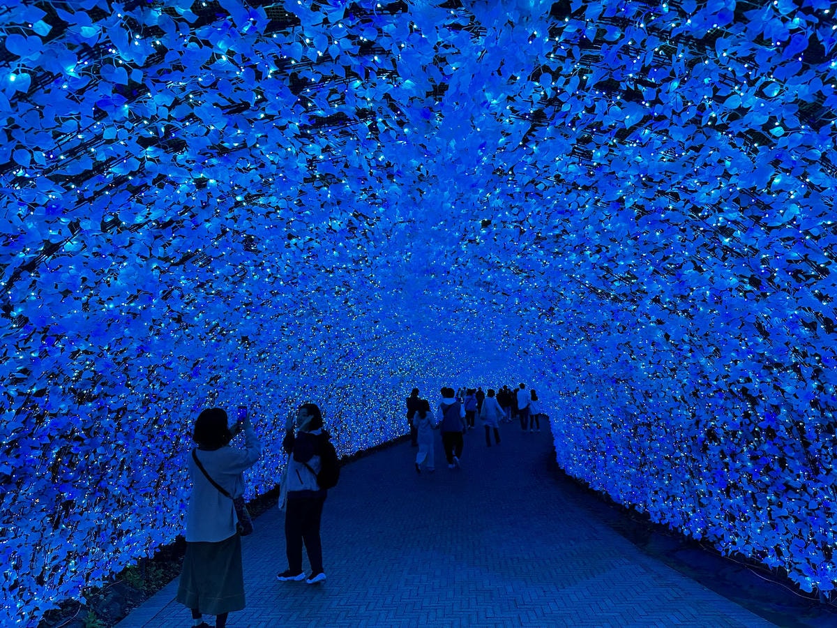 世界級美景,日本最大絢麗夢幻夜間燈光秀,結合花朵與燈飾的「名