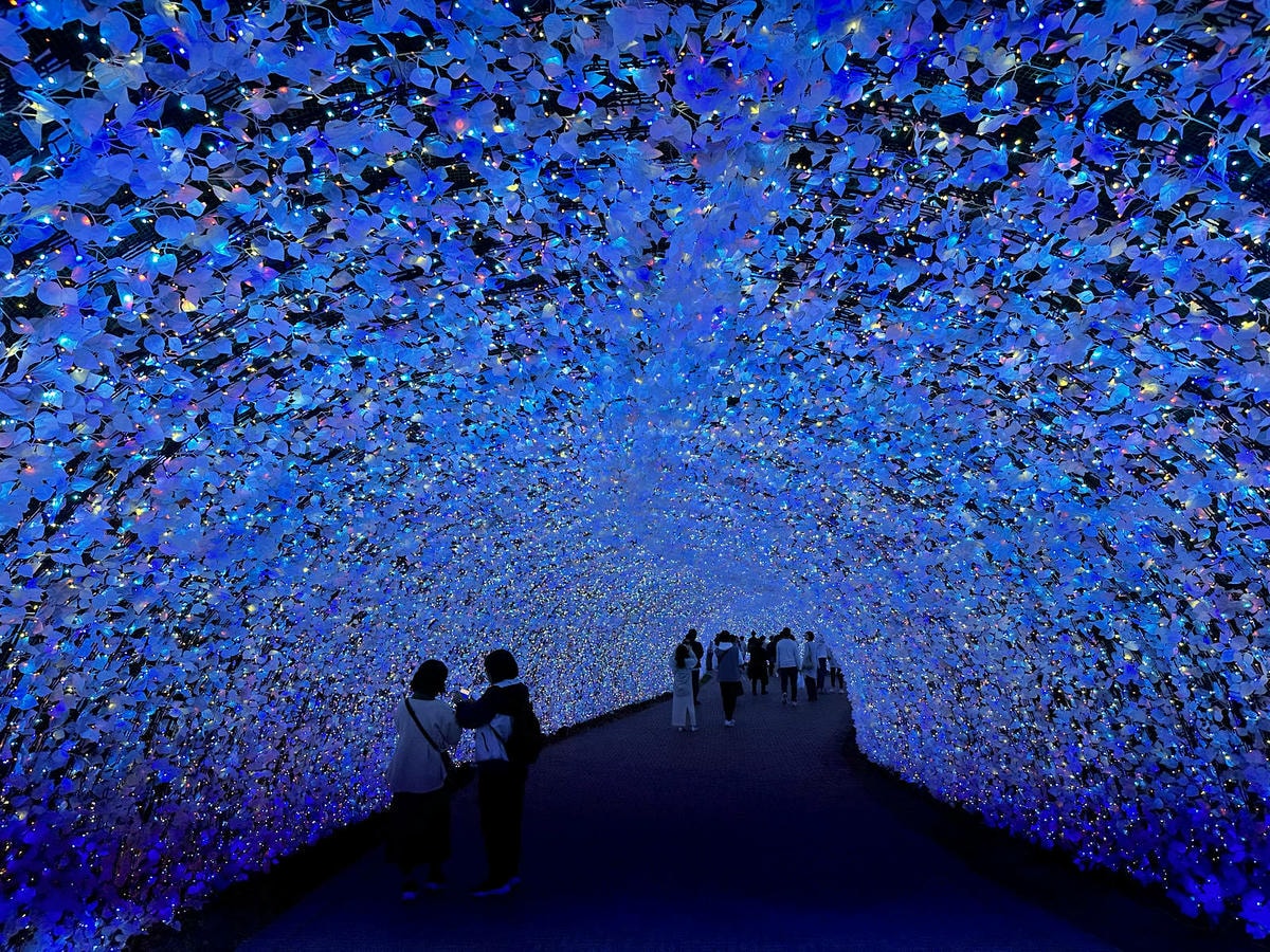 世界級美景,日本最大絢麗夢幻夜間燈光秀,結合花朵與燈飾的「名