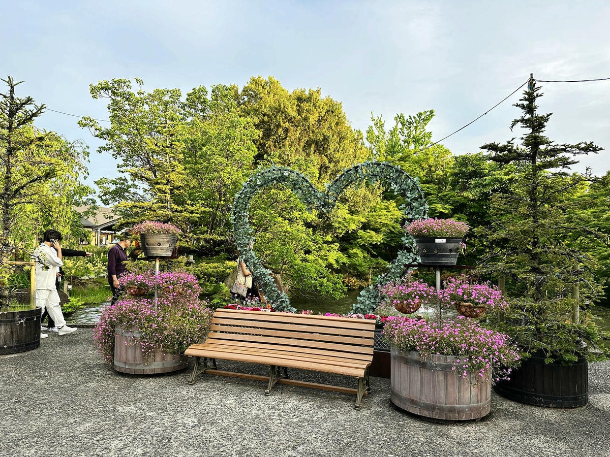 世界級美景,日本最大絢麗夢幻夜間燈光秀,結合花朵與燈飾的「名