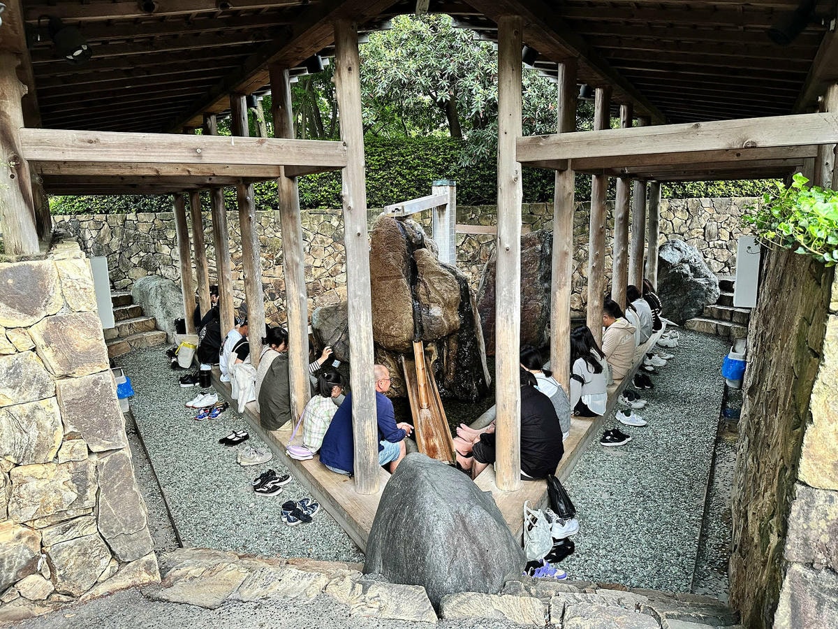 世界級美景,日本最大絢麗夢幻夜間燈光秀,結合花朵與燈飾的「名