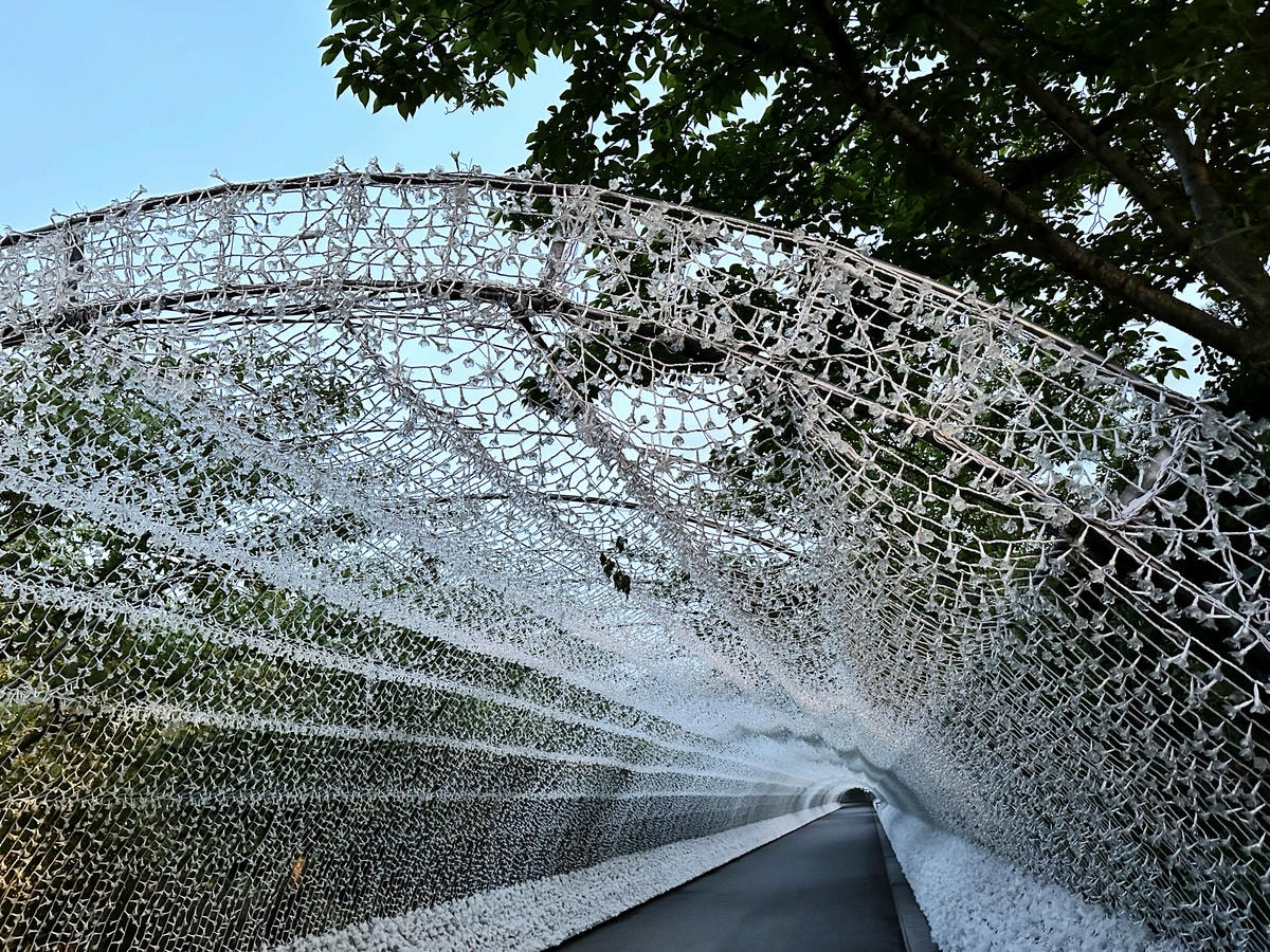 世界級美景,日本最大絢麗夢幻夜間燈光秀,結合花朵與燈飾的「名