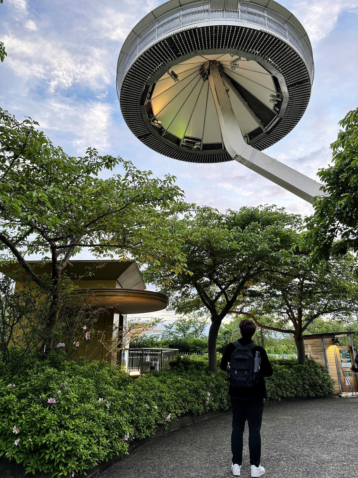 世界級美景,日本最大絢麗夢幻夜間燈光秀,結合花朵與燈飾的「名