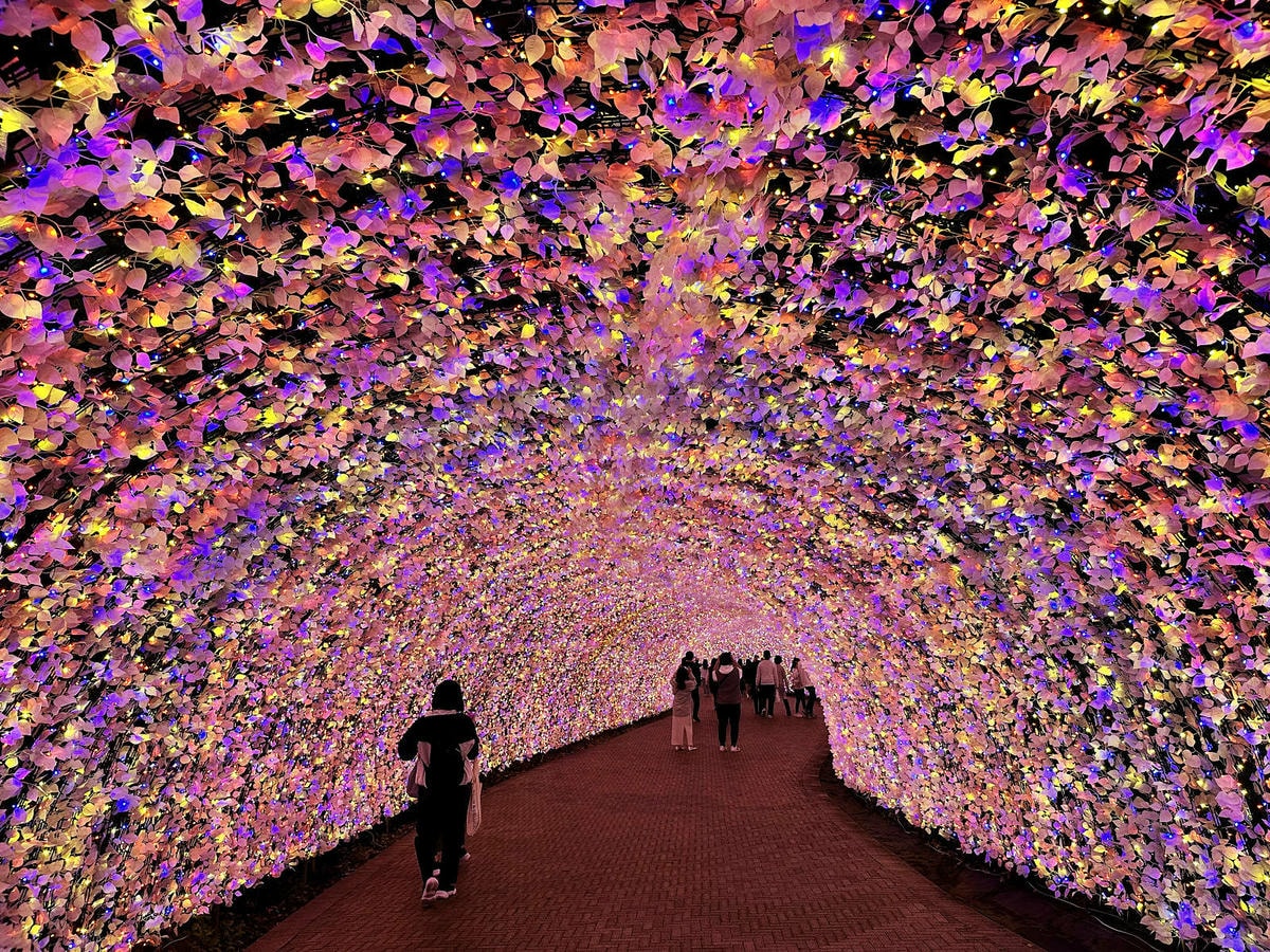 世界級美景,日本最大絢麗夢幻夜間燈光秀,結合花朵與燈飾的「名